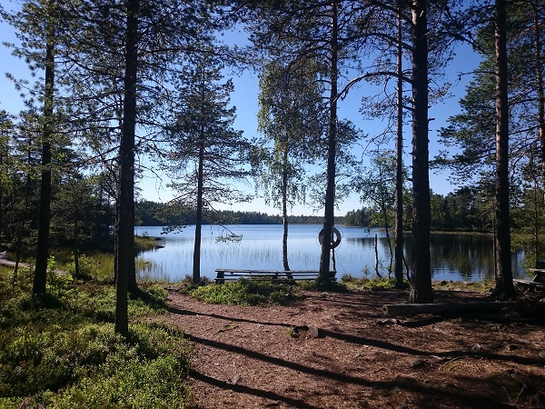 Zweeds meer en bos nabij Orsa Grönklitt